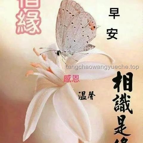 朋友情感需求满足案例研究：绝区零生日会与牵挂之情